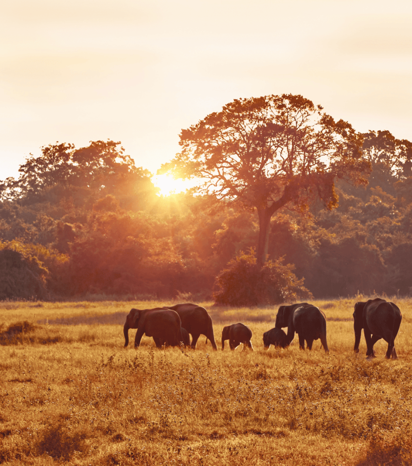 Classroom Without Walls